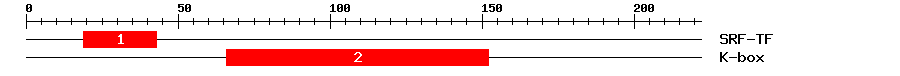Signature Domain