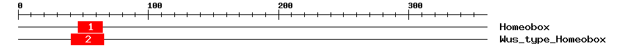 Signature Domain