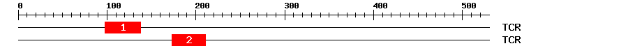 Signature Domain