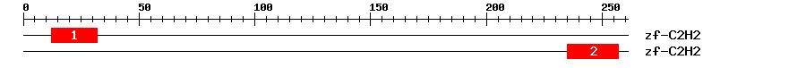 Signature Domain