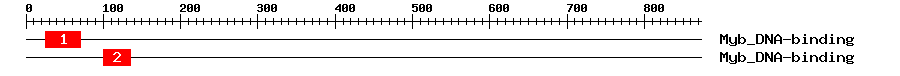 Signature Domain