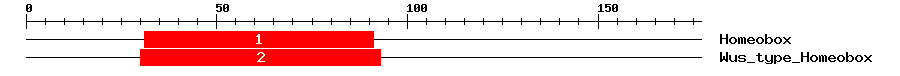 Signature Domain