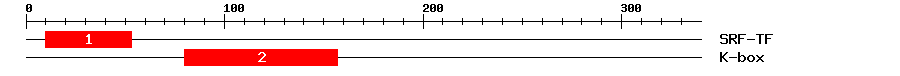 Signature Domain