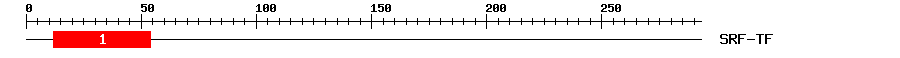 Signature Domain