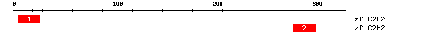 Signature Domain