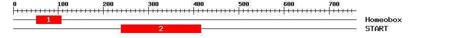 Signature Domain