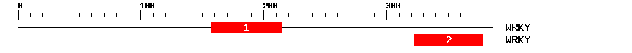 Signature Domain