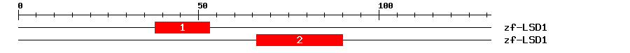 Signature Domain