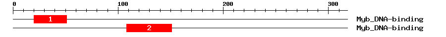 Signature Domain