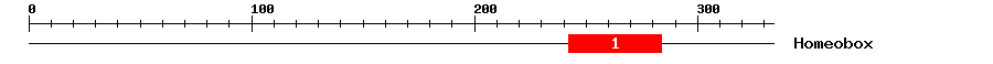 Signature Domain