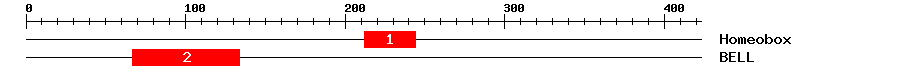 Signature Domain
