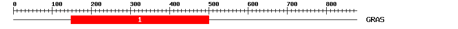 Signature Domain