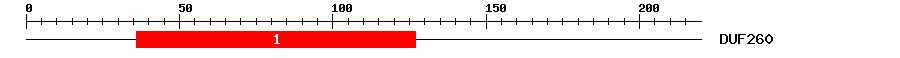 Signature Domain