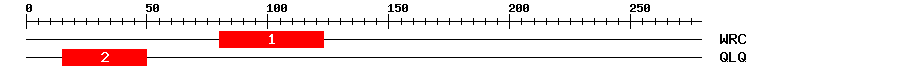 Signature Domain