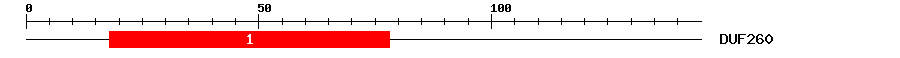 Signature Domain