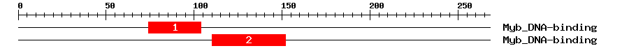 Signature Domain