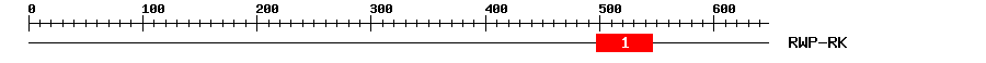 Signature Domain