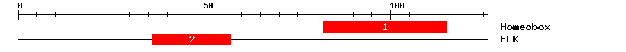 Signature Domain
