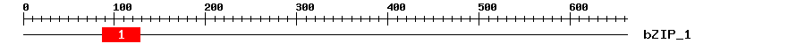 Signature Domain