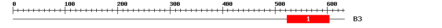 Signature Domain