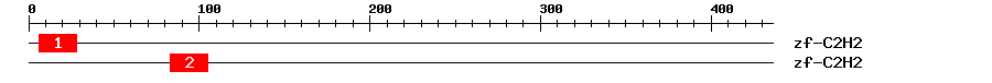 Signature Domain