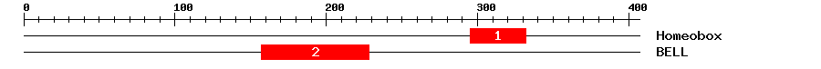 Signature Domain