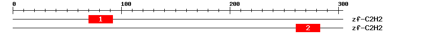 Signature Domain