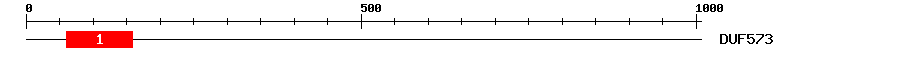 Signature Domain