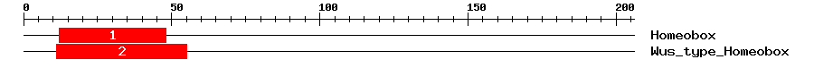 Signature Domain