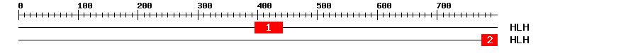 Signature Domain