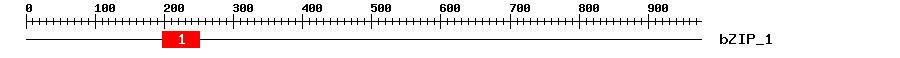 Signature Domain