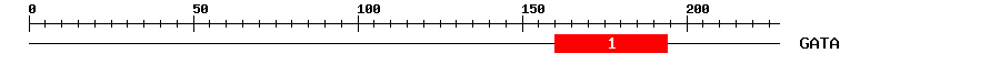 Signature Domain