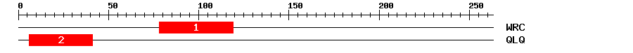 Signature Domain