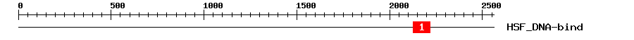 Signature Domain