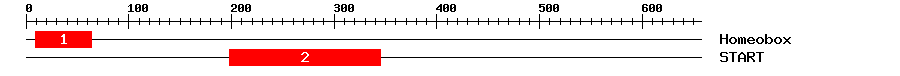 Signature Domain