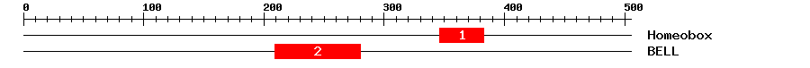 Signature Domain
