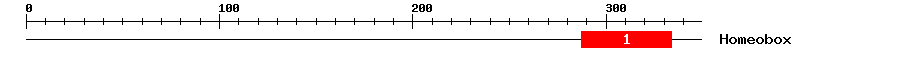 Signature Domain