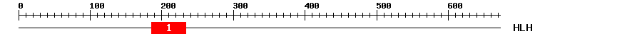 Signature Domain