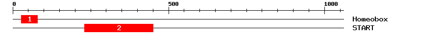 Signature Domain
