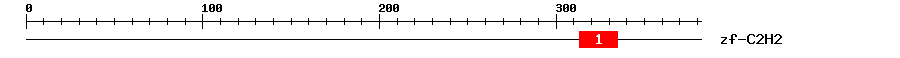 Signature Domain