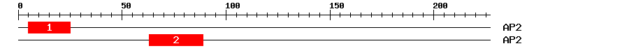 Signature Domain