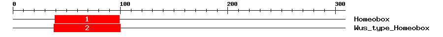 Signature Domain