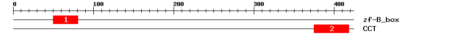 Signature Domain