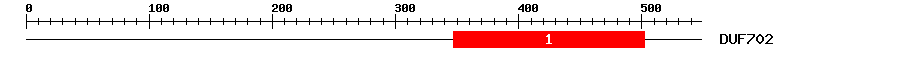 Signature Domain