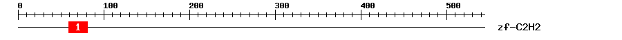Signature Domain