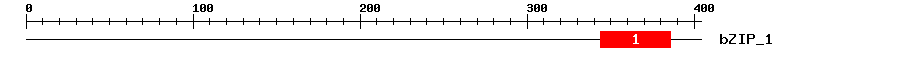 Signature Domain