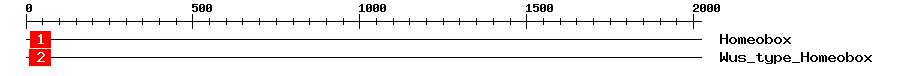 Signature Domain