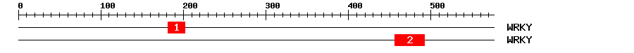 Signature Domain