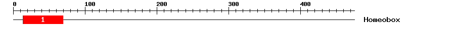 Signature Domain
