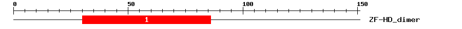 Signature Domain